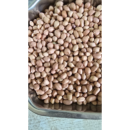 SHREE INTERNATIONAL PEANUTS ALL CATEGORY