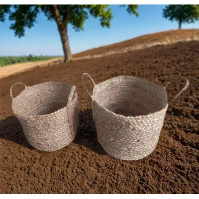 Jute tree planter