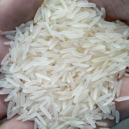 1121 Sella Rice