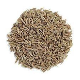 Cumin Seeds