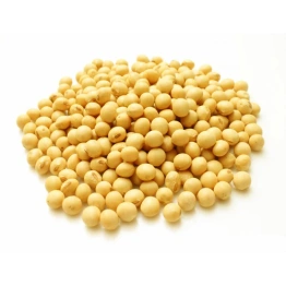 Soybeans