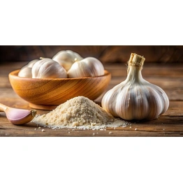 ORGANIC GARLIC POWDER (EXPORT QUALITY)