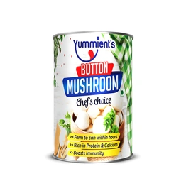 Canned Button Mushrooms