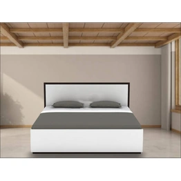 Bed : Stylish Platform Bed