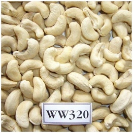 cashew W320