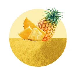 SPRAY DRIED PINEAPPLE POWDER