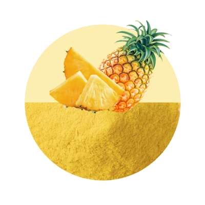 SPRAY DRIED PINEAPPLE POWDER