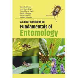 NIPA A Colour Handbook on Fundamentals of Entomology (Hardback, Devinder Sharma, Amit Kumar Singh, Rakesh Kumar Gupta, Sachin S. Suroshe, Kumaranag K M & Kuldeep Srivastava)