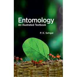 NIPA Entomology: An Illustrated Textbook (Hardback, P K Sehgal)