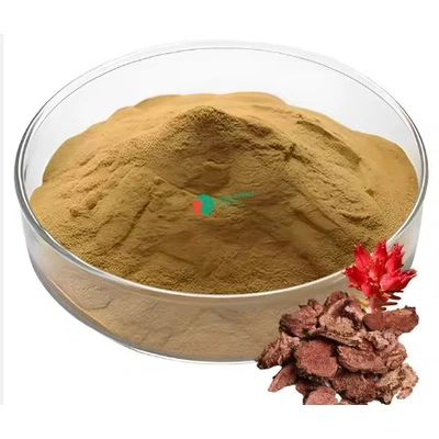 XXspirit Wholesale rhodiola rosea root extract salidroside 3% rosavins and 1% powder