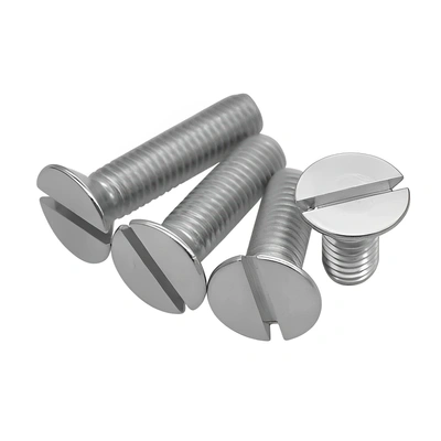 CSK SLOTTED SCREW