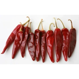 Dry Red Chilly