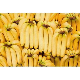 Cavendish bananas