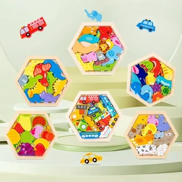 HexaBrain Puzzle Set ( 1 SINGLE TRAY)