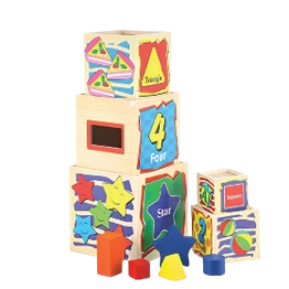 Montessori Shape Sorter Box