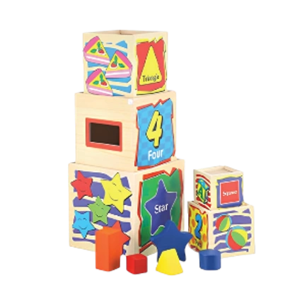 Montessori Shape Sorter Box