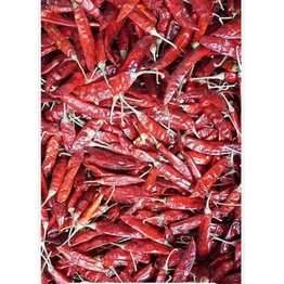 pandi whole red chili