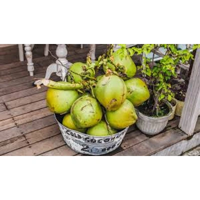 FRESH GREEN COCONUT