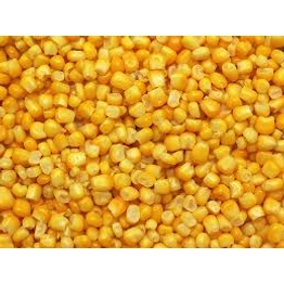 FROZEN AND DREID CORN(MAIZE)