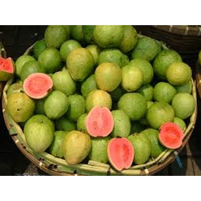 GUAVA