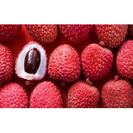 LYCHEE