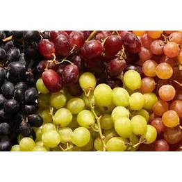 GRAPES