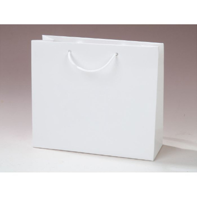 Laminated White Back Duplex Paper Bag with Cotton Rope Handle