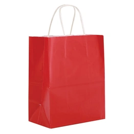 Kraft Paper Bag with Cotton Rope Handle