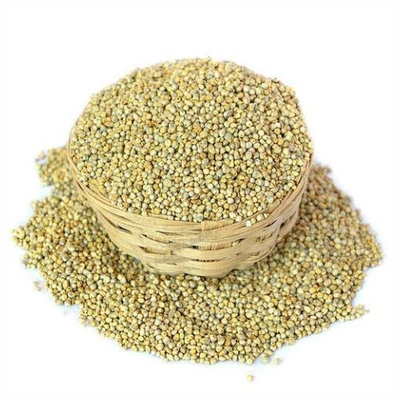 GAR Pearl Millet