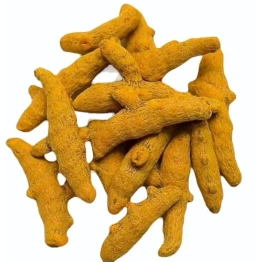 GAR Turmeric Finger