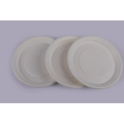 BHIKSHU GREEN Bagasse Plates - 12 Inch Round Plates