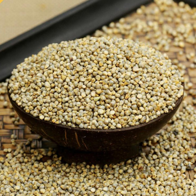 Bajra ( Pearl Millet )