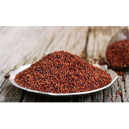 Ragi ( Finger millet )