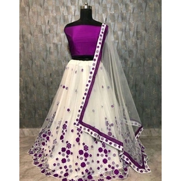 Beautiful Embroidered Net Lehenga