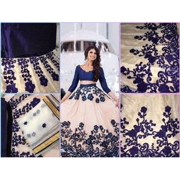 Gorgeous Net Embroidered Lehenga