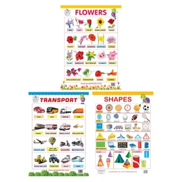 Flowers, Shapes, and Transport Charts for kids Wall Chart