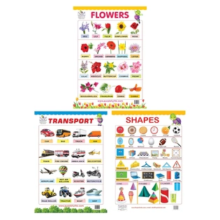 Flowers, Shapes, and Transport Charts for kids Wall Chart