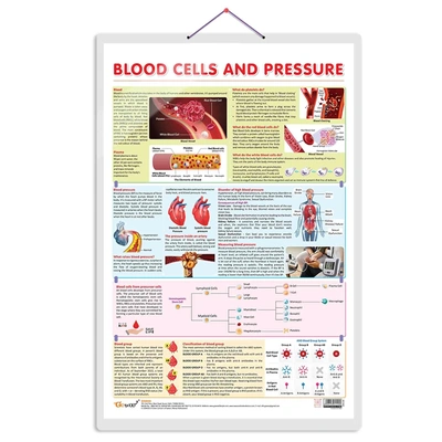 BLOOD CELLS AND PRESSURE CHART | Unraveling Blood Cells and Pressure: Comprehensive Anatomy Chart Hardcover