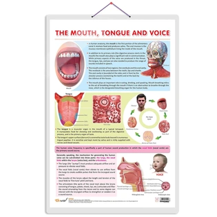 THE MOUTH, TONGUE AND VOICE CHART | The Art of Communication: Interactive Mouth, Tongue, and Voice Poster Hardcover