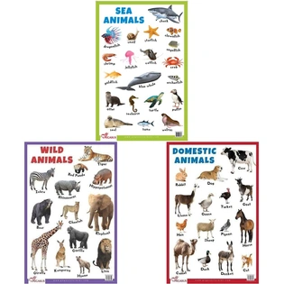 Sea Animals - Thick Laminated Primary Chart+Wild Animals - Thick Laminated Primary Chart+Domestic Animals - Thick Laminated Primary Chart (Set Of 3 Books) Product Bundle