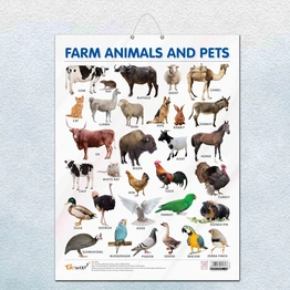 FARM ANIMALS AND PETS CHART GLOSS LAMINATED |Pet Pals and Barn Buddies: Gloss-Laminated Animal Companions Chart Hardcover