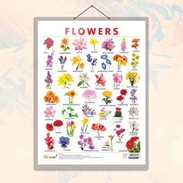 FLOWERS CHART HARD LAMINATED | Blossom Brilliance: Hard Laminated Flowers Chart for Floral Education Hardcover