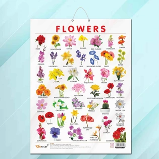 FLOWERS CHART GLOSS LAMINATED |Flower Wonderland: Glossy Identification Chart for Kids Hardcover