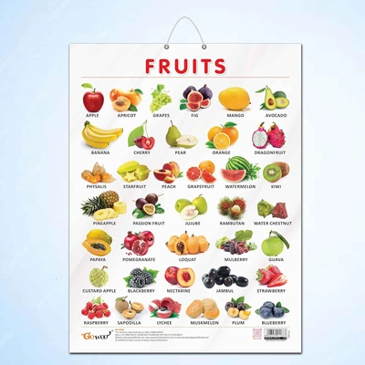 FRUITS CHART GLOSS LAMINATED | Fruitful Discoveries: Gloss-Laminated Fruits Chart Hardcover