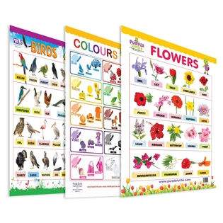 Flowers, Colours and Birds Educational Wall Charts For Kids Wall Chart