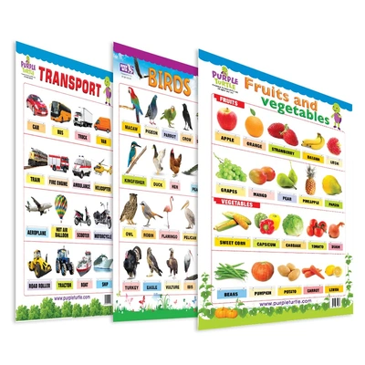 Fruits & Vegetables, birds and Transport Educational Wall Charts for Kids Wall Chart