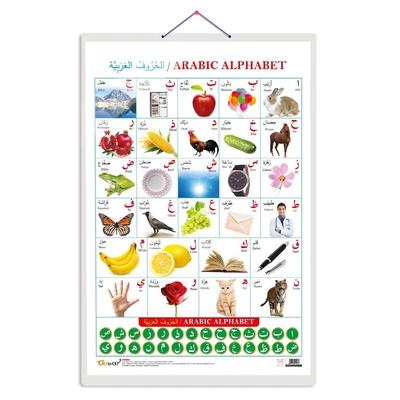 RDMall Arabic (Arabic) Educational chart with Big font and Dust resistant Lamination | 300 GSM Recyclable Chart Unknown Binding