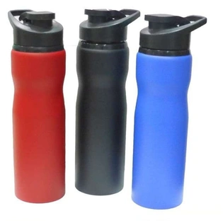 SS WATER BOTTLE (MATTE)