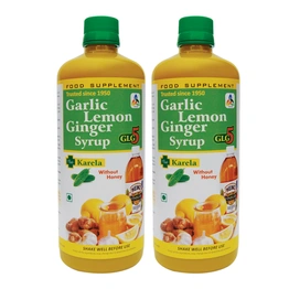 SKSB GLG5 Plus Karela (Bitter Gourd) Garlic lemon Ginger Apple Cider Vinegar Karela Turmeric Herbal Health Drink / Syrup for Diabetes - WITHOUT HONEY - 525 ml (Pack Of 2)