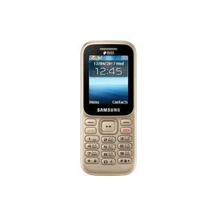 Samsung Guru Music 2